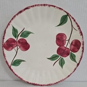 Vintage Handpainted Blue Ridge / Southern Pottery 10 1/4 Inche Crab Apple Plate